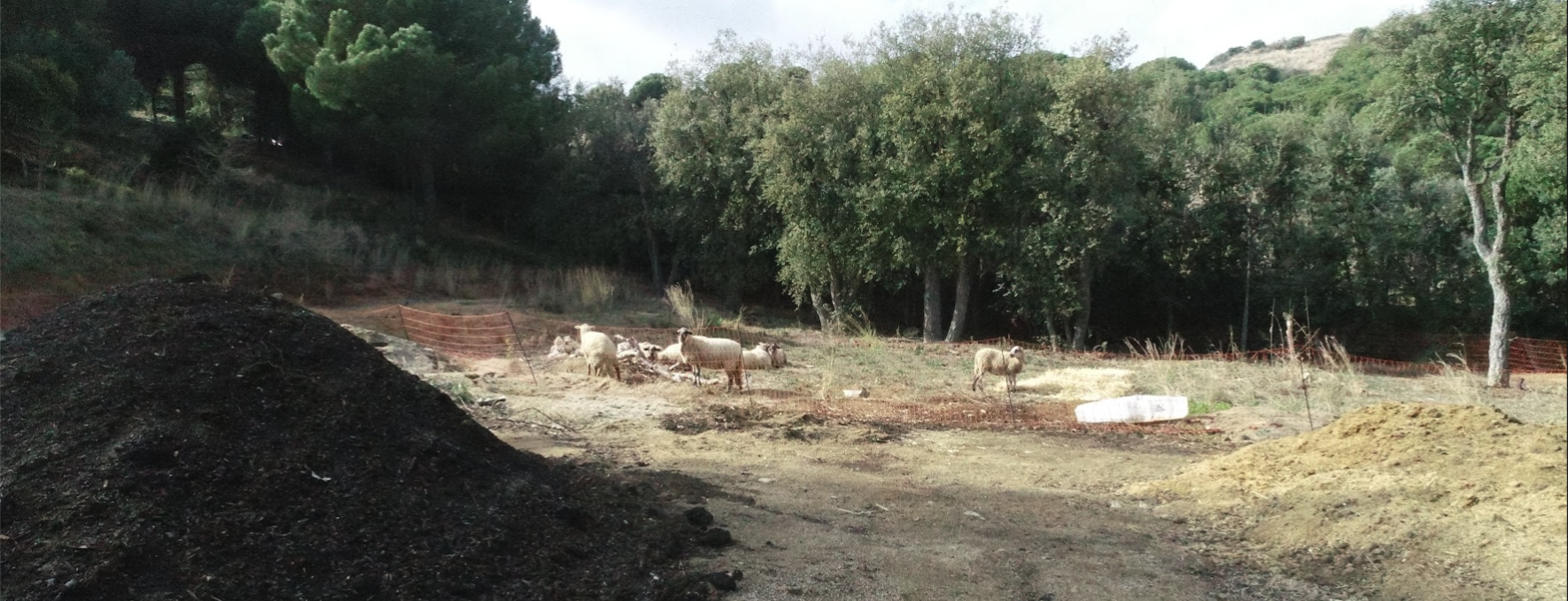 Composting and soil health