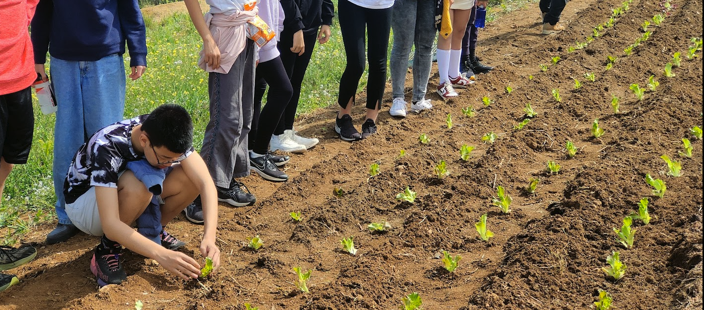 Sustainable planting techniques